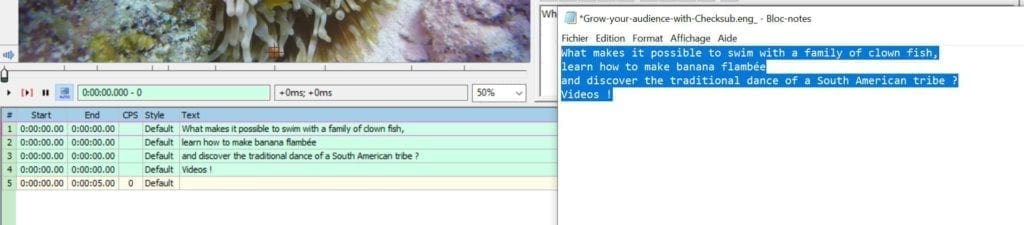 The Step-by-Step Tutorial to Create Subtitles in Aegisub