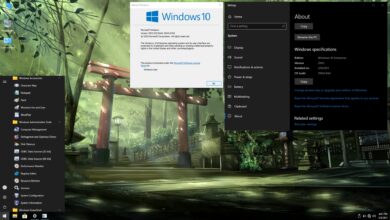 Windows 10 Pro SuperLite + Compact Normal And WPE