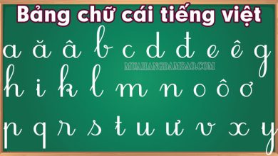 Bảng chữ cái tiếng Việt đầy đủ mới nhất
