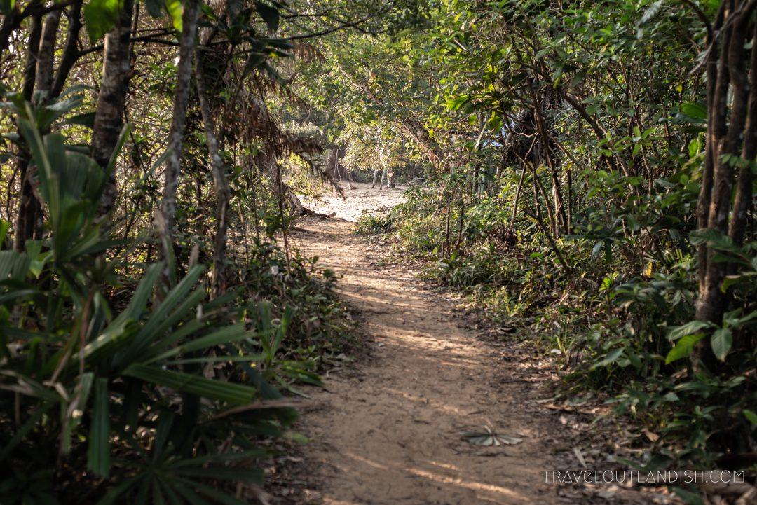 Jungle Hike on Koh Rong Samloem