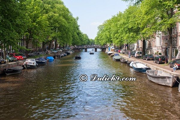 Kinh nghiệm du lịch Amsterdam: Địa điểm tham quan ở Amsterdam/ Đi đâu, chơi gì khi du lịch Amsterdam?