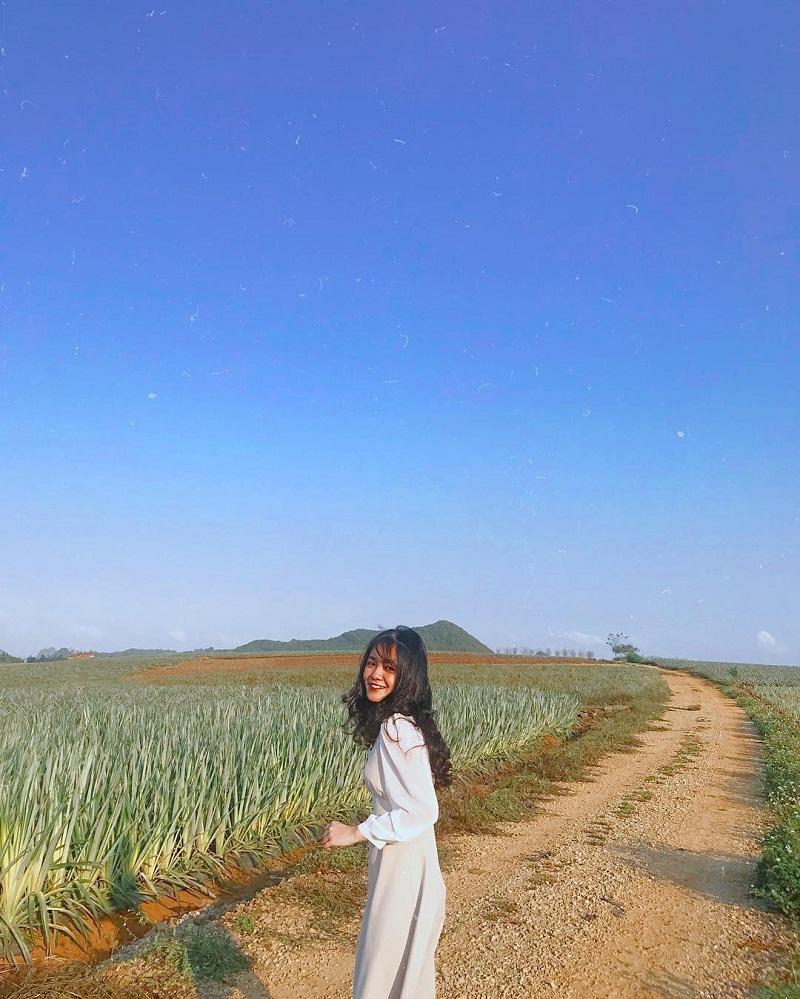 Cánh đồng lúa tại Ninh Bình những ngày tháng 8