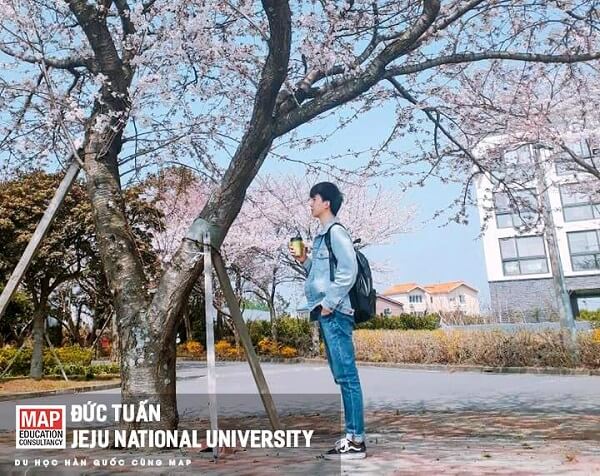 Đức Tuấn - Sinh viên MAP ưu tú tại Jeju National University
