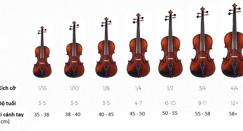 Tự học violin