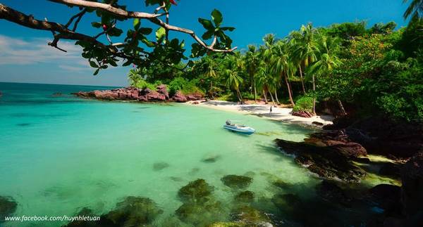Hàng dừa xanh mát trên đảo Móng Tay. Ảnh: Huỳnh Lê Tuấn