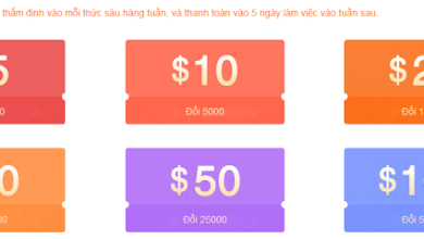 [Uy tín] Viewfruit, web bạn nên thử nếu là người thích kiếm tiền online