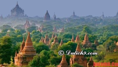 Kinh nghiệm du lịch Bagan thuận lợi. Chơi đâu khi du lịch Bagan?