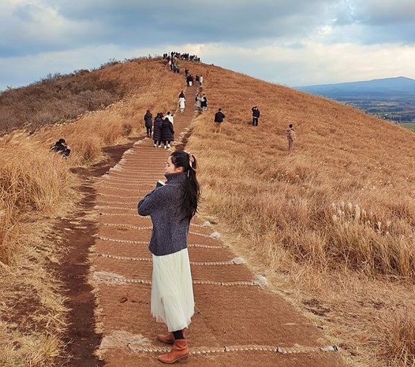 Du lịch đảo Jeju mùa nào đẹp/ Thời điểm lý tưởng đi đảo Jeju