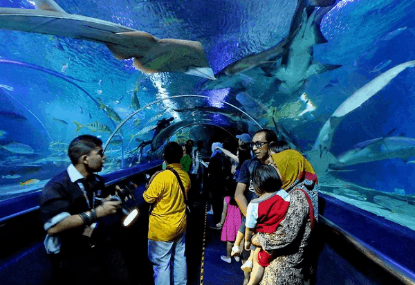 Kinh nghiệm du lịch Kuala Lumpur, thủy cung Aquaria KLCC là điểm đến yêu thích của trẻ nhỏ