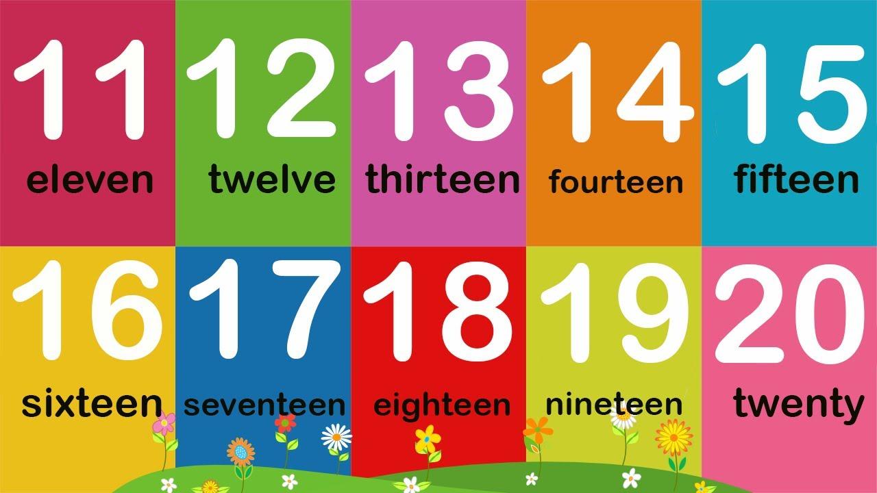 Thanh nấm - Học đếm số từ 11 đến 20 bằng tiếng anh / count numbers in english