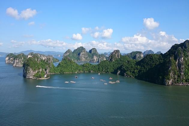 nature in halong bay