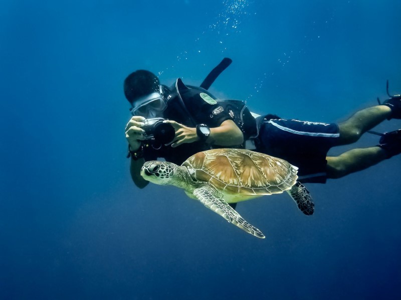 Lặn ngắm rùa ở Borneo