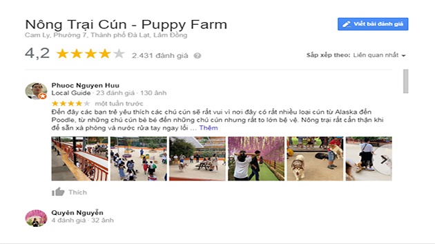 Nông trại cún – Puppy Farm Đà Lạt nơi “sống ảo” cùng với những chú Best siêu dễ thương