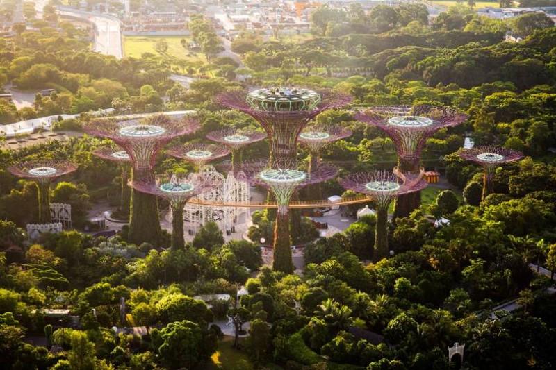 Công viên nhiều cây xanh tại Singapore