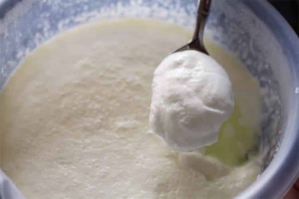 Tại sao nấu sữa đậu nành bị kết tủa