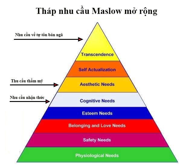 tháp nhu cầu của maslow là gì 7