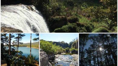 Da Lat, Vietnam Travel Guide Waterfalls in the Countryside - Dalat Travel Guide