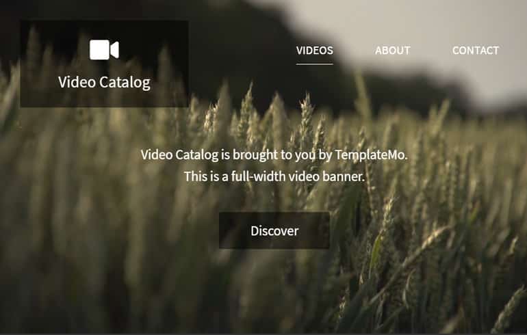 Free Video Gallery Website CSS Template