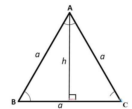Tính chất độ cao trong tam giác đều