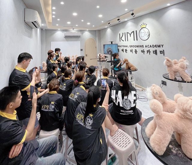 Hình ảnh khóa học cắt tỉa lông thú cưng tại Kimi Pet