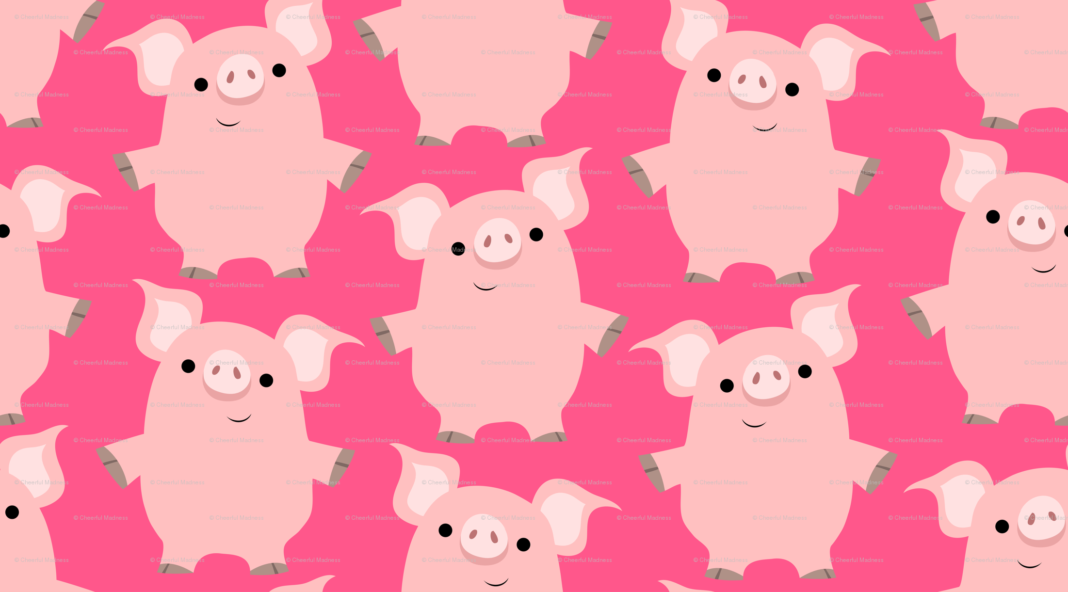 Cute Pigs