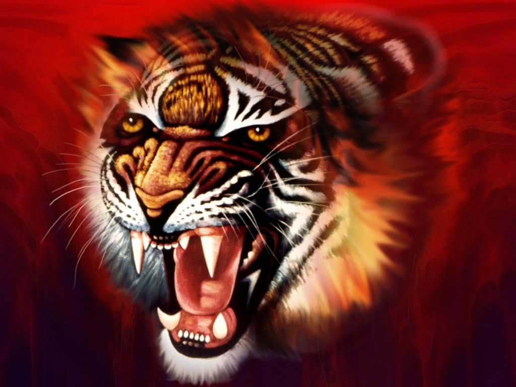 Ảnh con hổ 3d đẹp nhất ❤️ bộ hình nền cọp 3d chất ngầu - Vương Quốc Đồ Ngủ