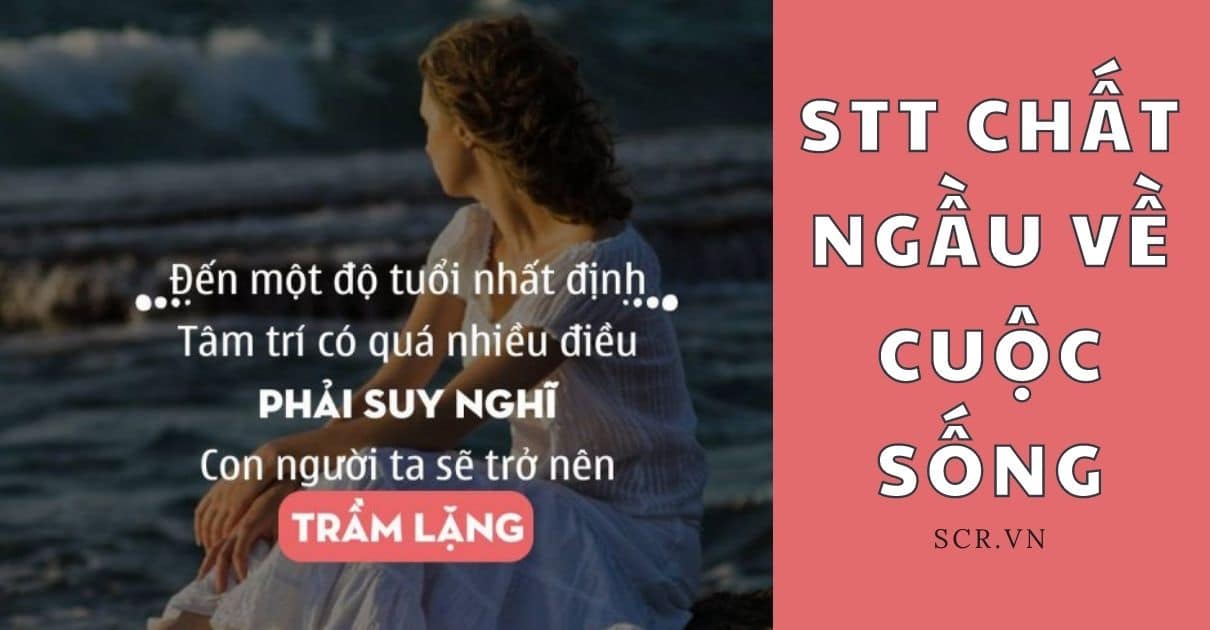 Stt chat ngau ve cuoc song