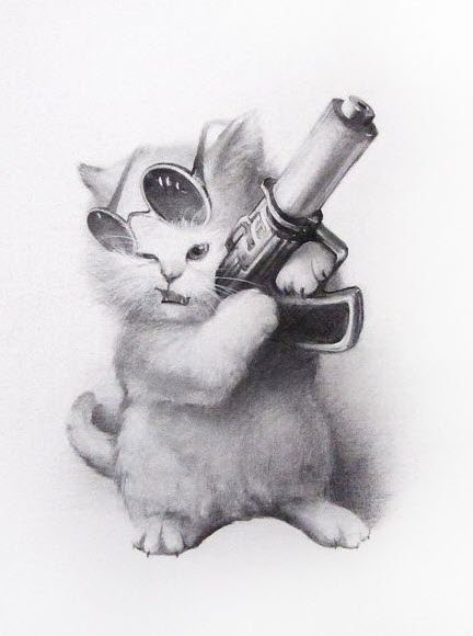 Hình ảnh một con mèo đang ôm ống giảm thanh