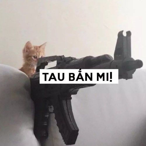 Hình ảnh con mèo cầm súng vui nhộn