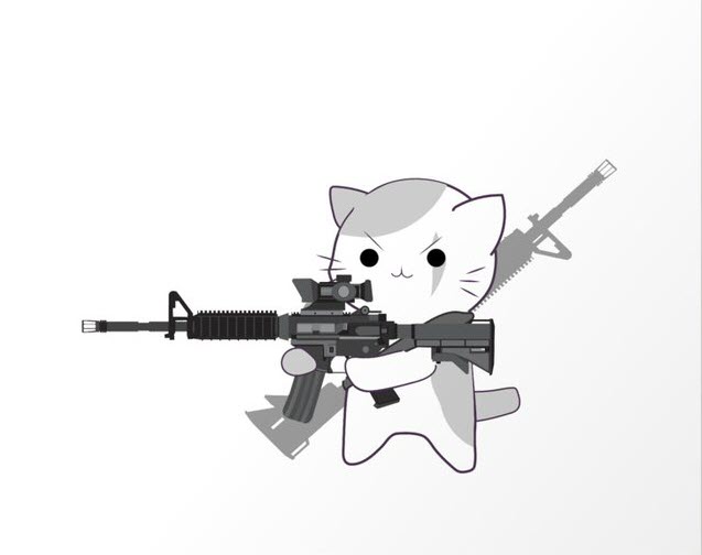 Hình ảnh một con mèo cầm khẩu súng lục M4A1
