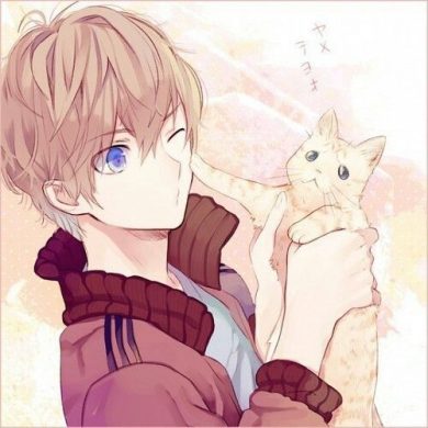 avatar boy và con mèo