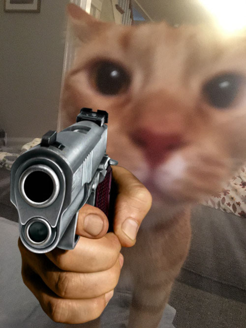 Hình ảnh con mèo đang cầm súng để bắn