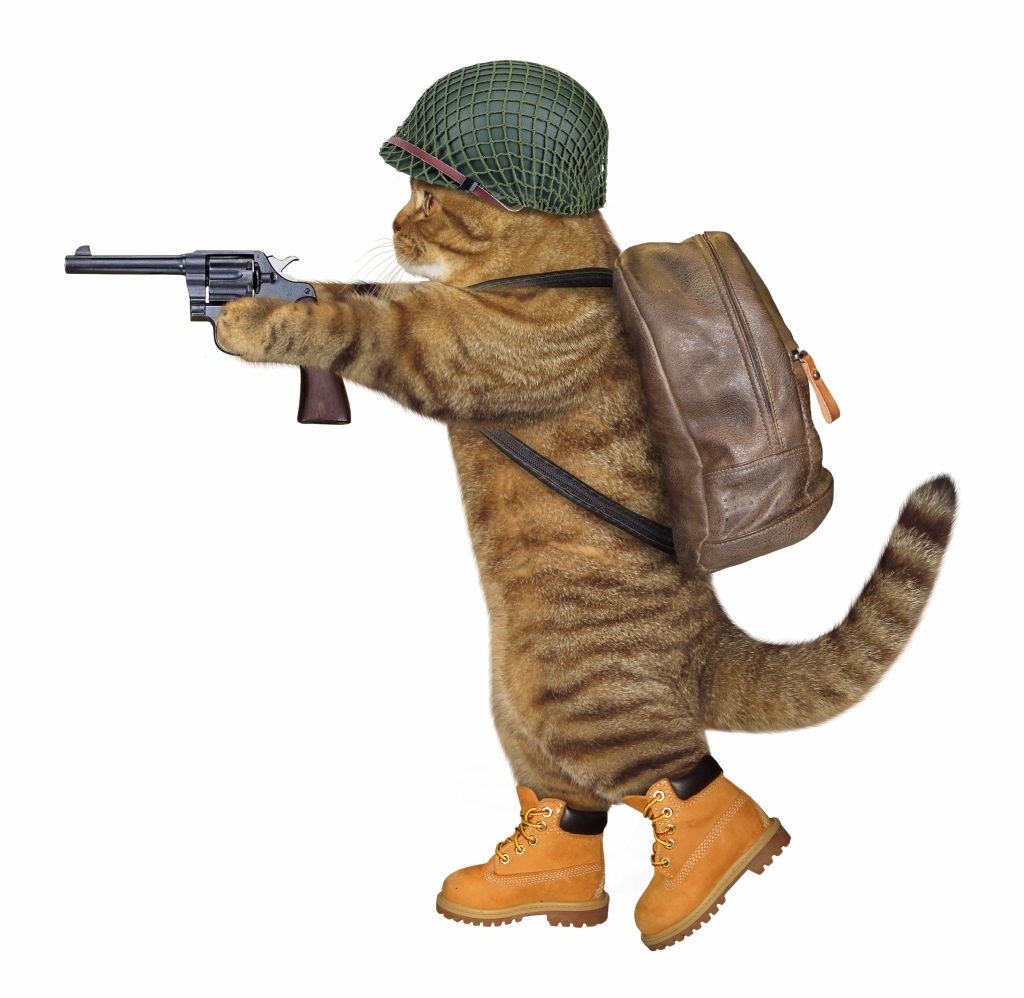 Hình ảnh một con mèo đang cầm khẩu súng colt quay