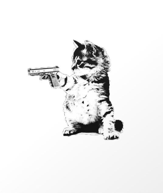 Hình ảnh con mèo cầm súng