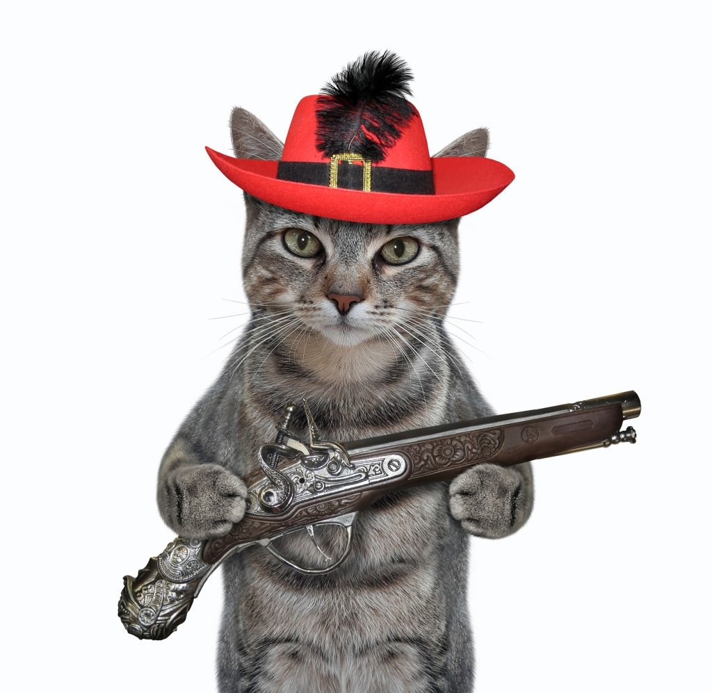 Hình ảnh mèo ngự lâm cầm súng