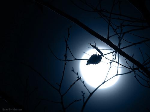 Hình ảnh đêm buồn với trăng - cô đơn mình ta với trăng 