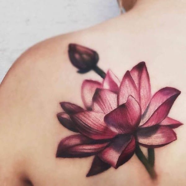 tattoo hoa sen màu