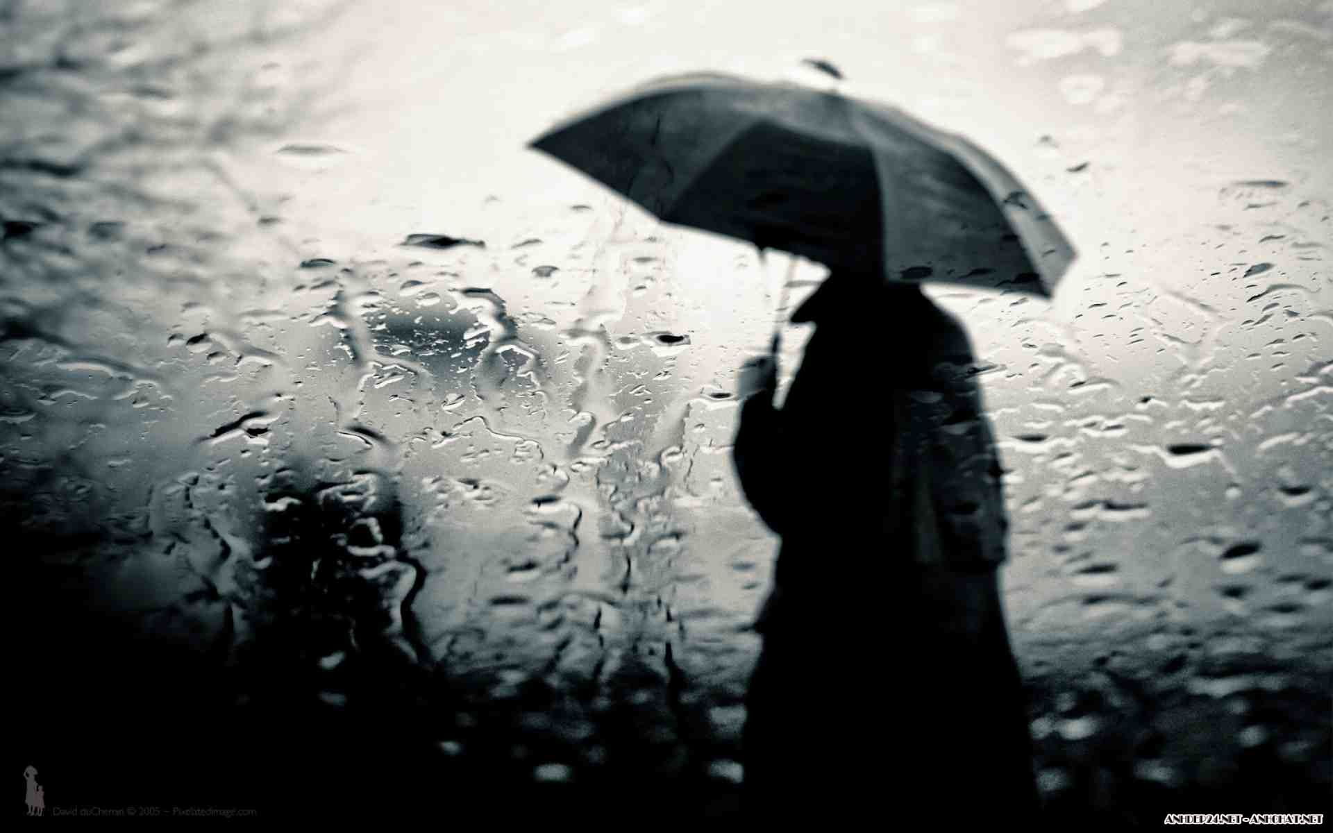 Hình chàng trai cầm dù đi trong mưa