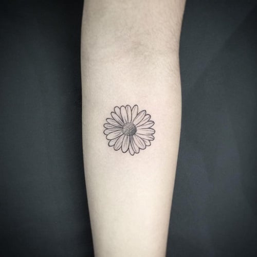 Hình tattoo hoa cúc mini nhỏ cho nữ
