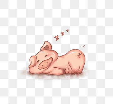 Mẫu icon chú lợn đang ngủ siêu cute