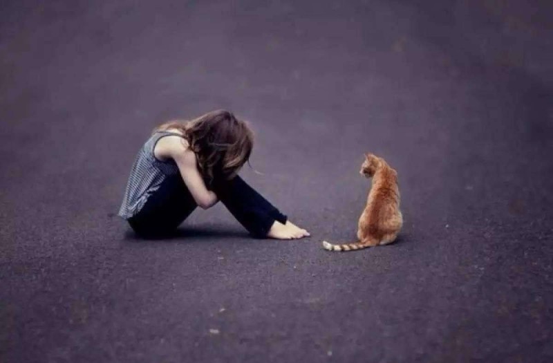 cô gái ôm đùi buồn cạnh chú mèo