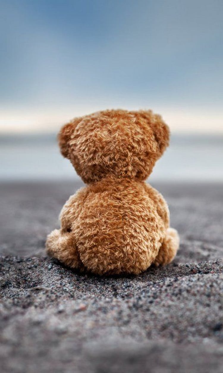 Hình ảnh một con gấu buồn và cô đơn