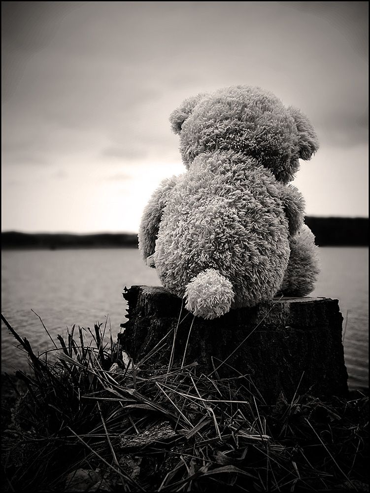 Hình ảnh một con gấu buồn một mình