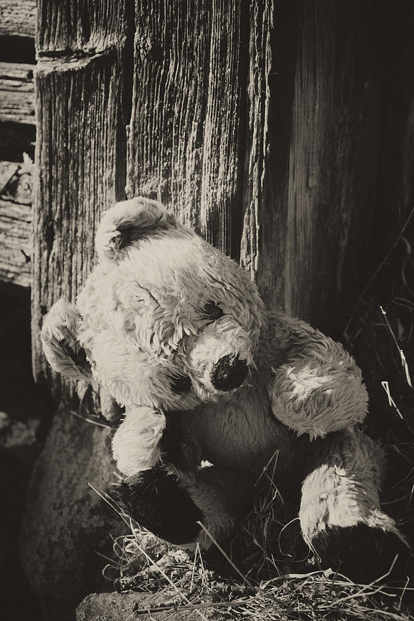 Hình ảnh đẹp về chú gấu buồn