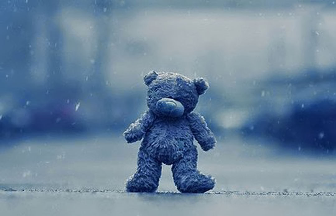 Hình ảnh chú gấu buồn trong mưa