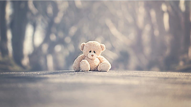Hình ảnh chú gấu buồn bã, ủ rũ và cô đơn