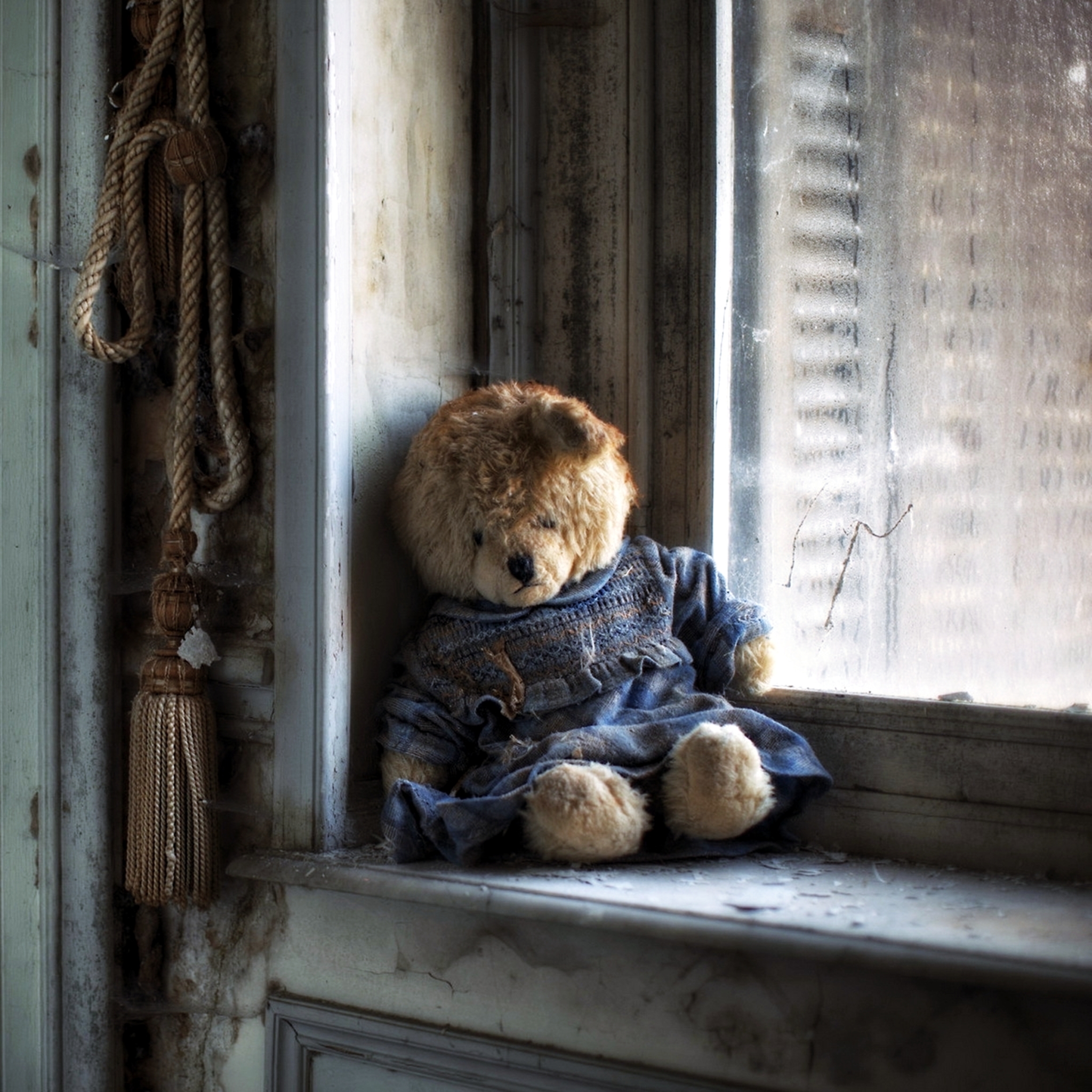 Hình ảnh một chú gấu buồn bã, thất vọng và cô đơn