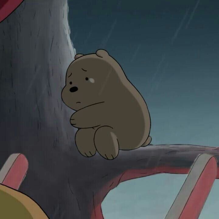 Hình ảnh chú gấu buồn và thất vọng