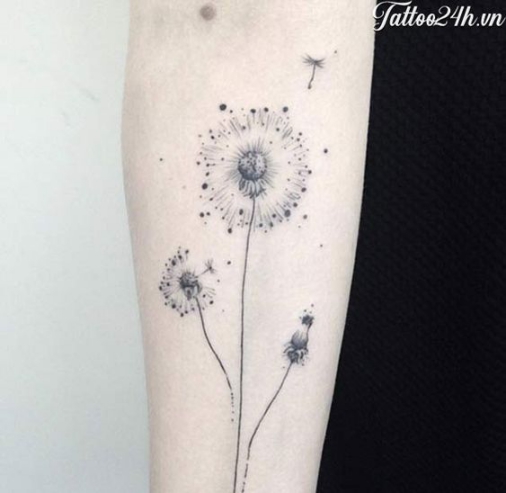 Hình xăm nghệ thuật tatoo mini bồ công anh đẹp nhất