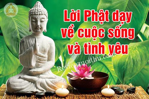 loi-phat-day-ve-cuoc-song-tinh-yeu